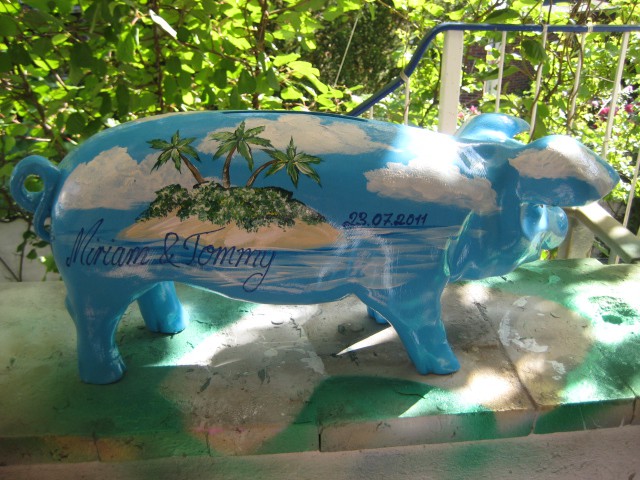 Ferkel- Sparschweine_6