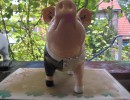 Sparschwein halb und halb_2