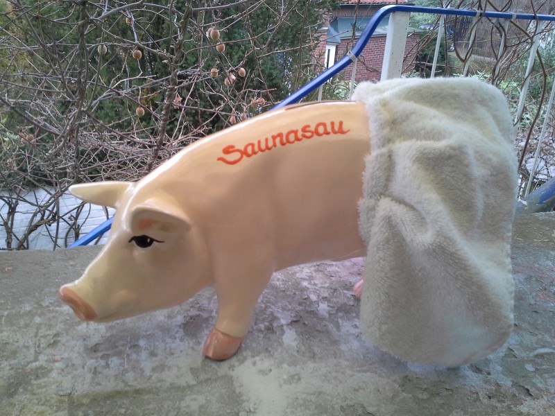 Sauna-Sau_1