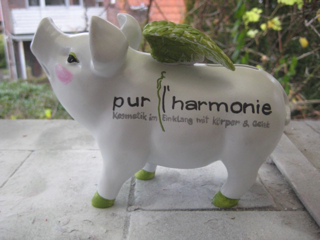 Sparschwein mit Logo_1