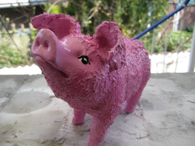 Sparschweine Flügel_9