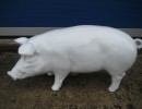 Sparschwein XXXL_1