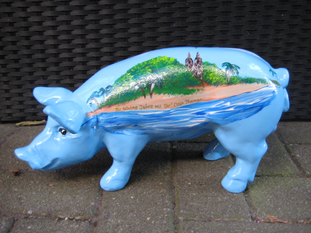 Sparschwein_mit__4ce6873f3091b.jpg